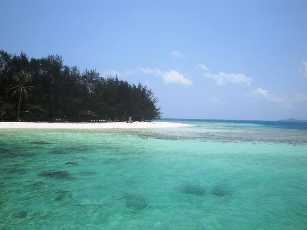 Menjangan Resort Karimunjawa Rom bilde
