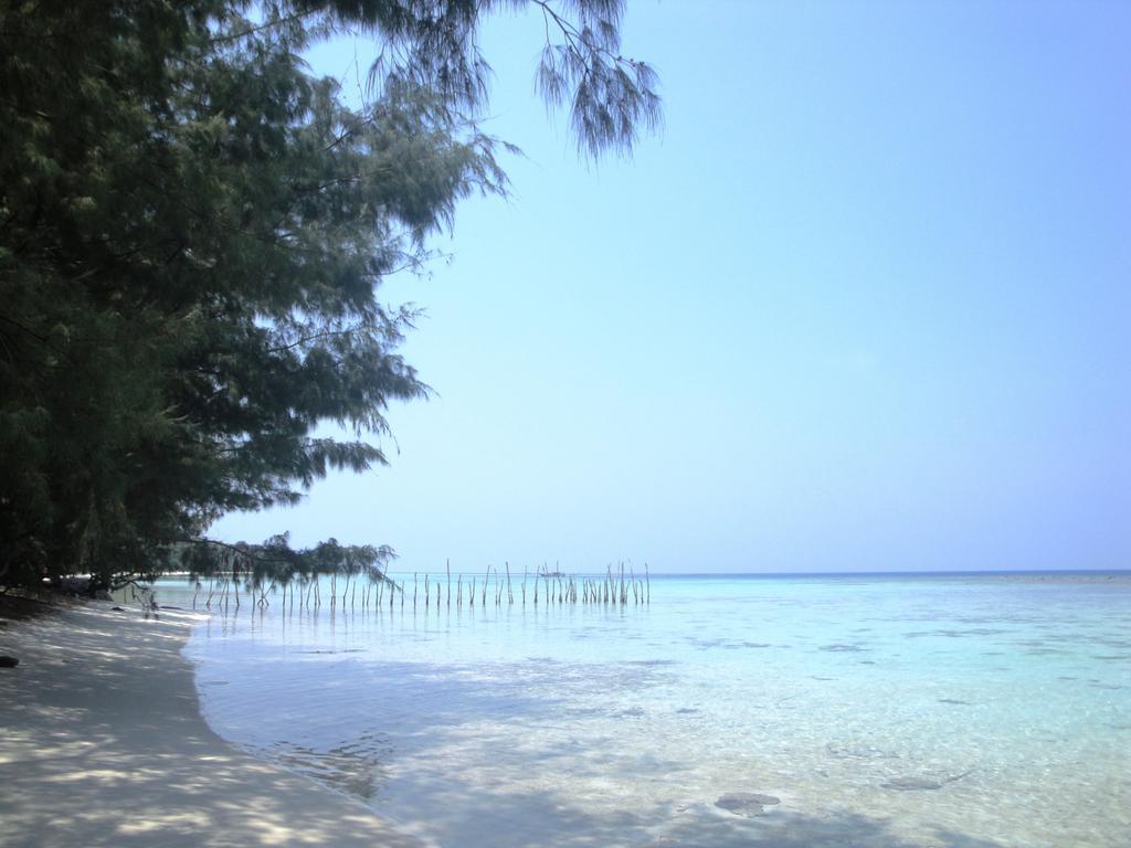 Menjangan Resort Karimunjawa Rom bilde